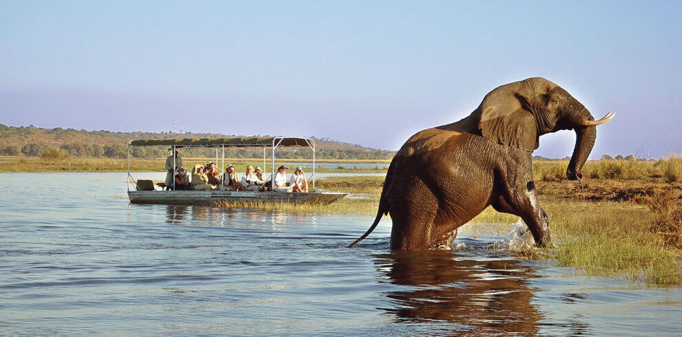 Chobe_Safari_Lodge_Game