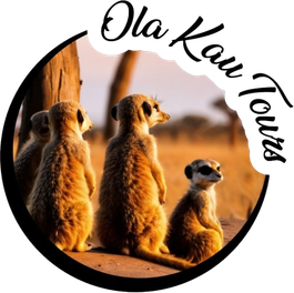 OlaKau Tours